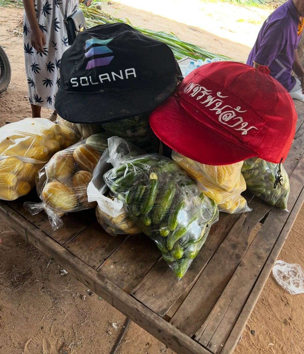 FCPetchPanLan's tweet photo. Helping orphan elephants is a truly heartwarming mission. Every small step, from providing them with shelter to feeding them, makes a huge difference for their future. These gentle giants need our love and support. ❤️🐘 #SaveTheElephants #Help #Orphans #FCPetchPanLan https://t.co/eVJlZlnnfx