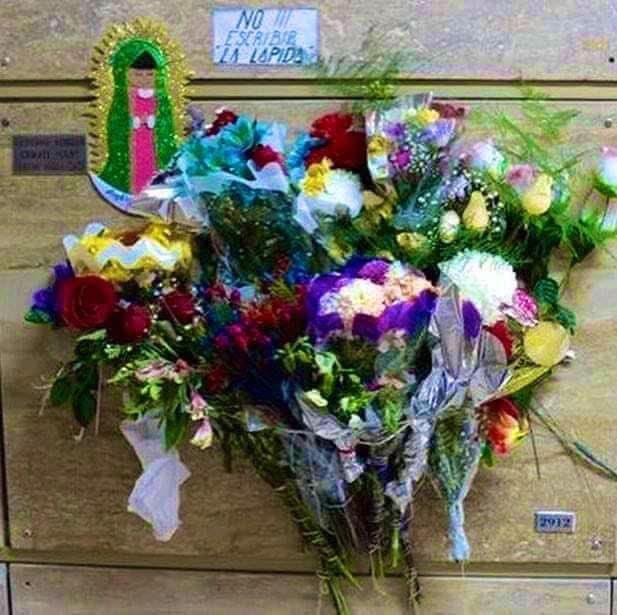 No hace falta buscarte para poder encontrarte, permaneces en cada corazón.
Dios la debe de estar pasando de maravilla contigo.
Yo aún te necesito acá 💙

Cerati: 1959 - ∞