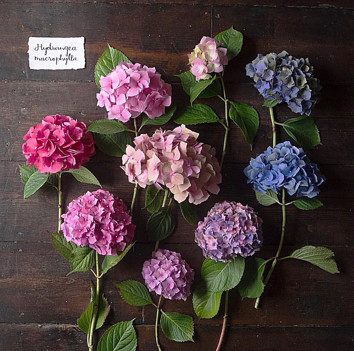 Emma Mitchell 💙 tweet media