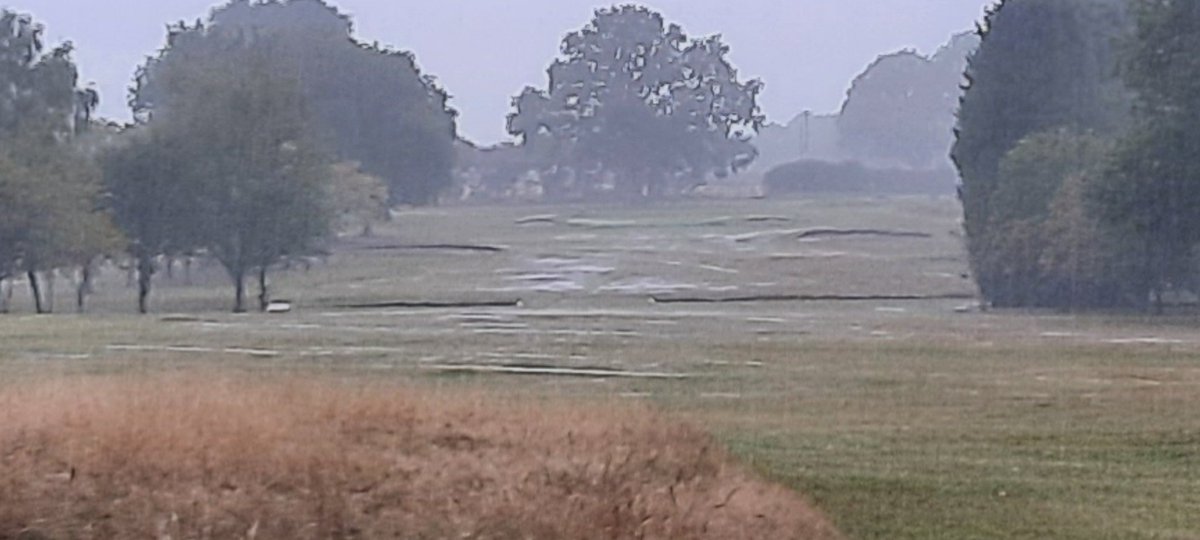 Ian Davies SGC tweet media