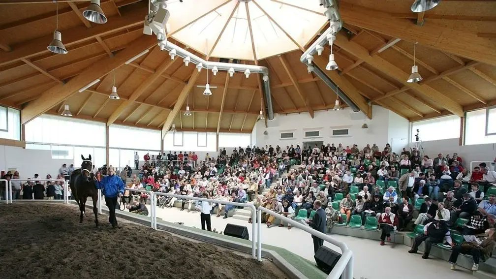 Racing Post Bloodstock tweet media