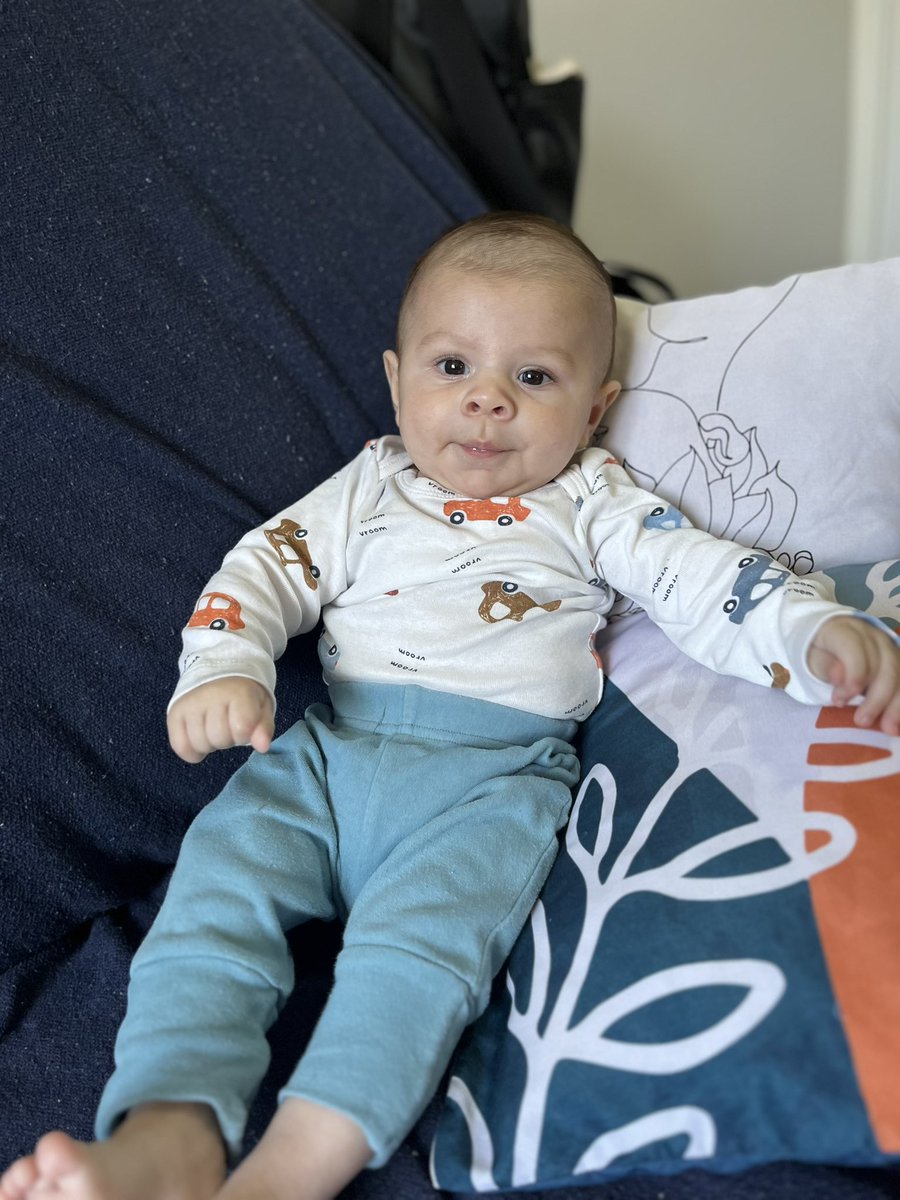 Eu e Bento somos do time dos fãs do Marco Matos 🩷 
Objetivo: zero telas 
Obstáculo: jornal do almoço com o Marco Matos <a href="/marcomatostv/">marcomatostv</a>