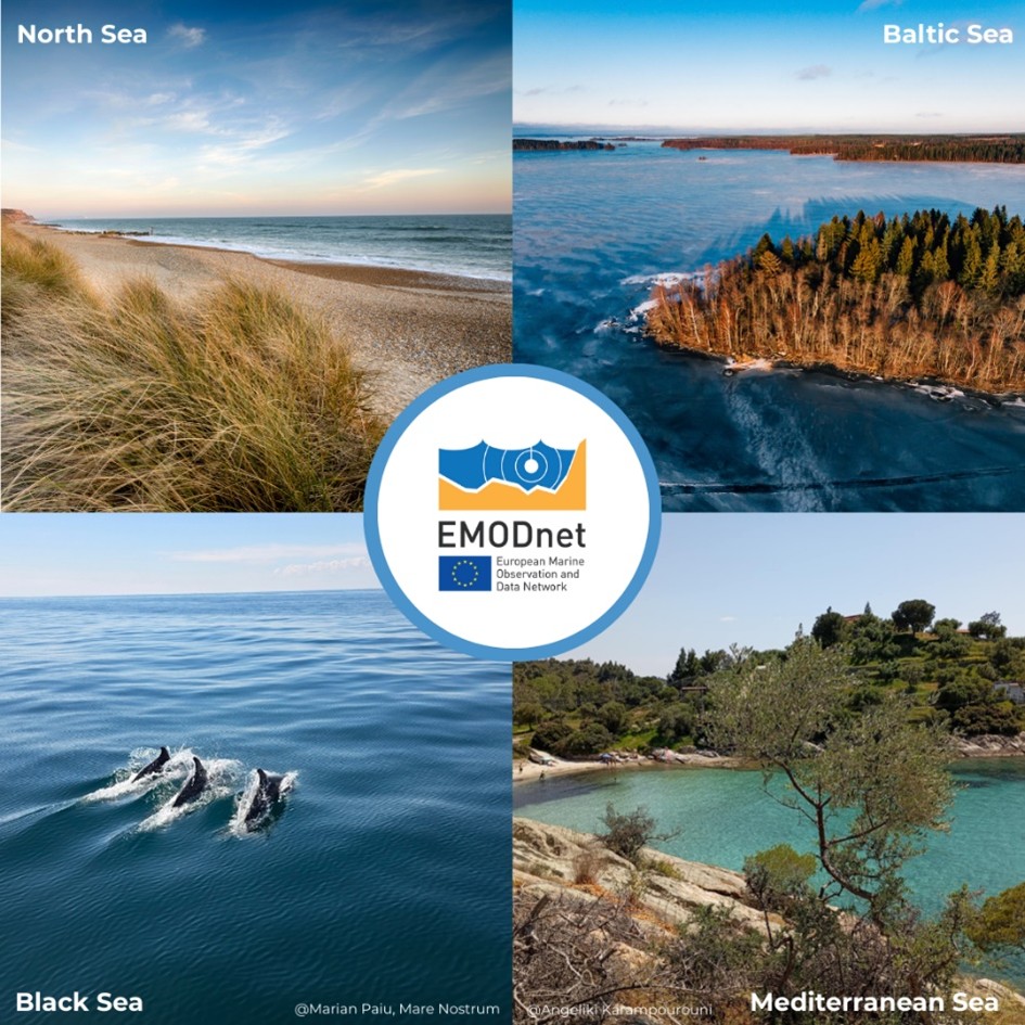 EMODnet's tweet photo. #DYK EMODnet offers #MarineData and #DataProducts for Europe's diverse regional sea-basins?  🌊 With the EMODnet #MapViewer you can browse, visualise and select the area(s) you need, or simply download the fully harmonised European scale maps! https://t.co/KgG1XVlGLI