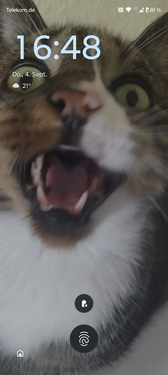 BuganDonneraxt's tweet image. Got a new phone and found the best lock screen background 😂