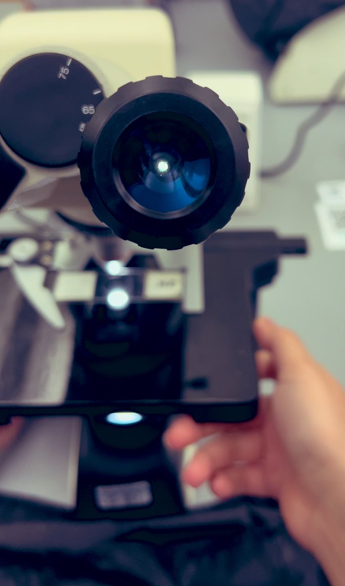 ولو أن جدولي معطوب وأطلع العصر الخميس
بس لا مانع من عشوائياته🌷