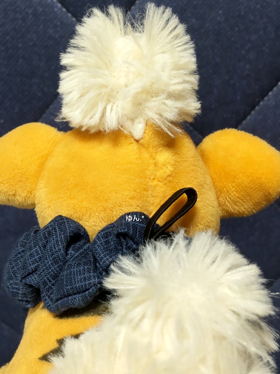 暑くて外に出られないときの 寂しいこたろの背中と🤭
なぜ撮ったか わからないこたろの背中😂笑
#ポケモンfit
#みんなのぬいの後ろ姿見せて