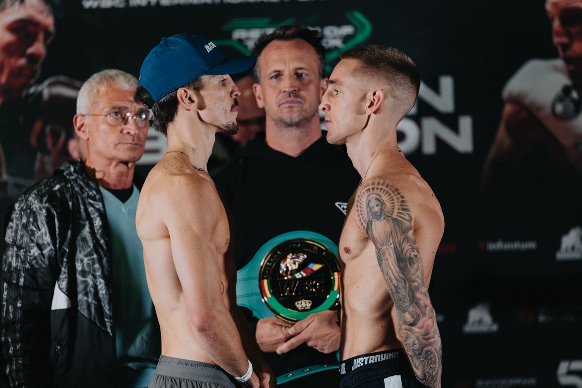 Wasserman Boxing tweet media