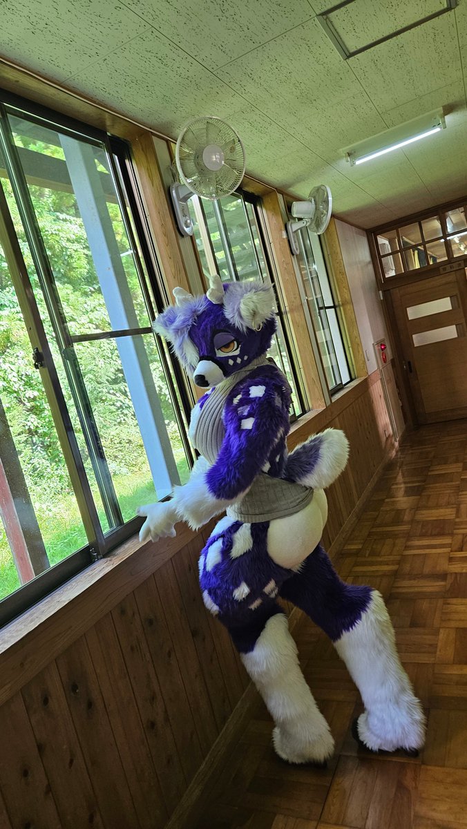 piro1791's tweet photo. 🦌💜

#FursuitFriday 
#TDOS10 https://t.co/HnXFnLlASi