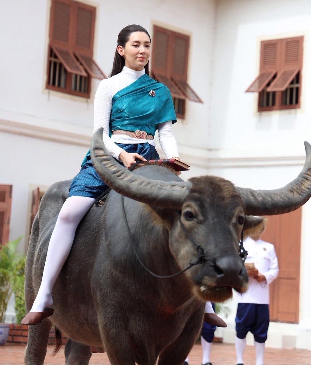 พี่เบลขี่ควายเท่มากก 

#เบลล่าราณี 
#เจ้าคุณพี่กับอีนางคำดวงep2