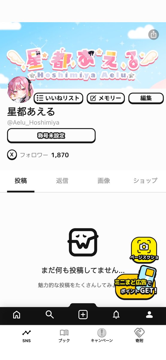 user_aca3fdf3 ☆おまとめ9点 ほしくず(群)🌾 on X: 