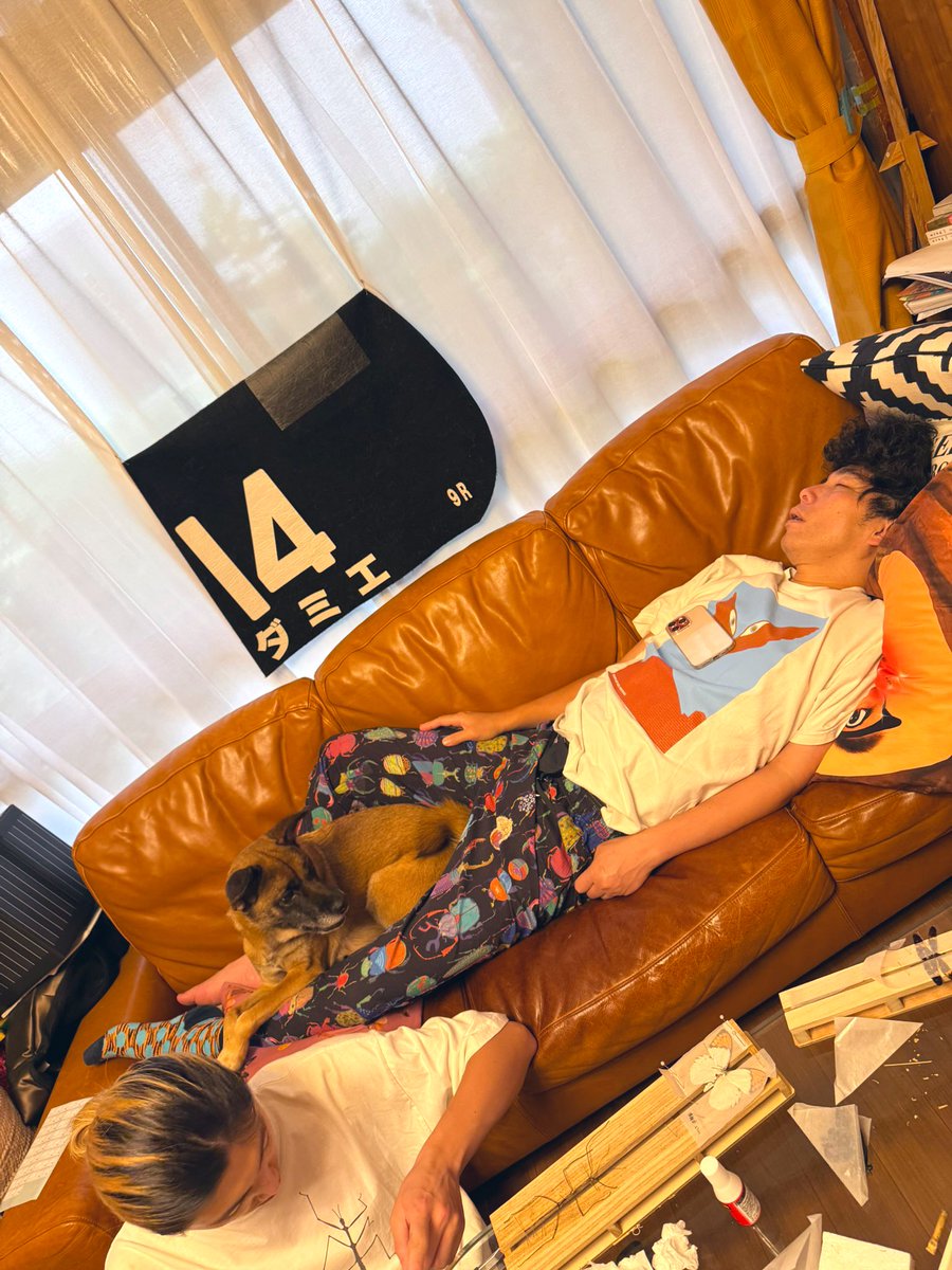 ソファーで寝てたら、犬がハマってた #元保護犬今過保護犬