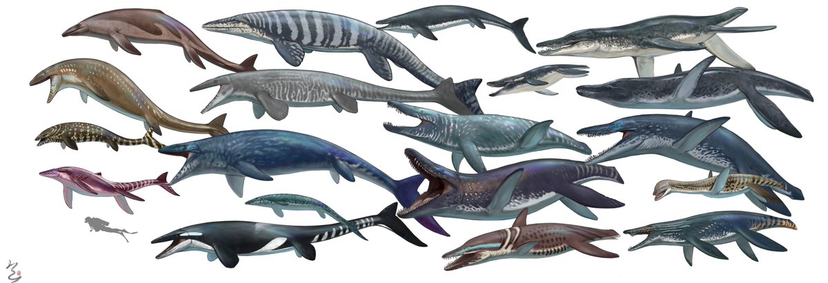 Two legendary families of the Mesozoic era