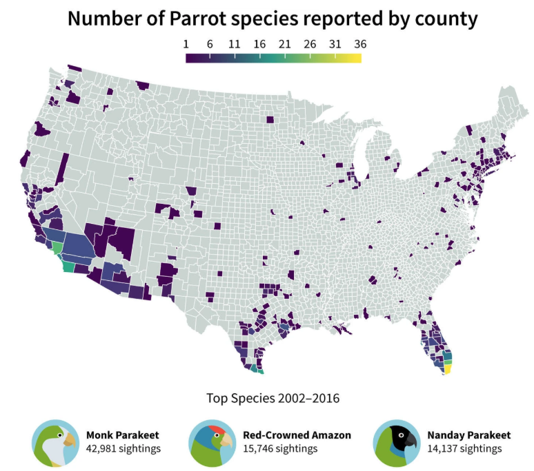 Robert Francis tweet media