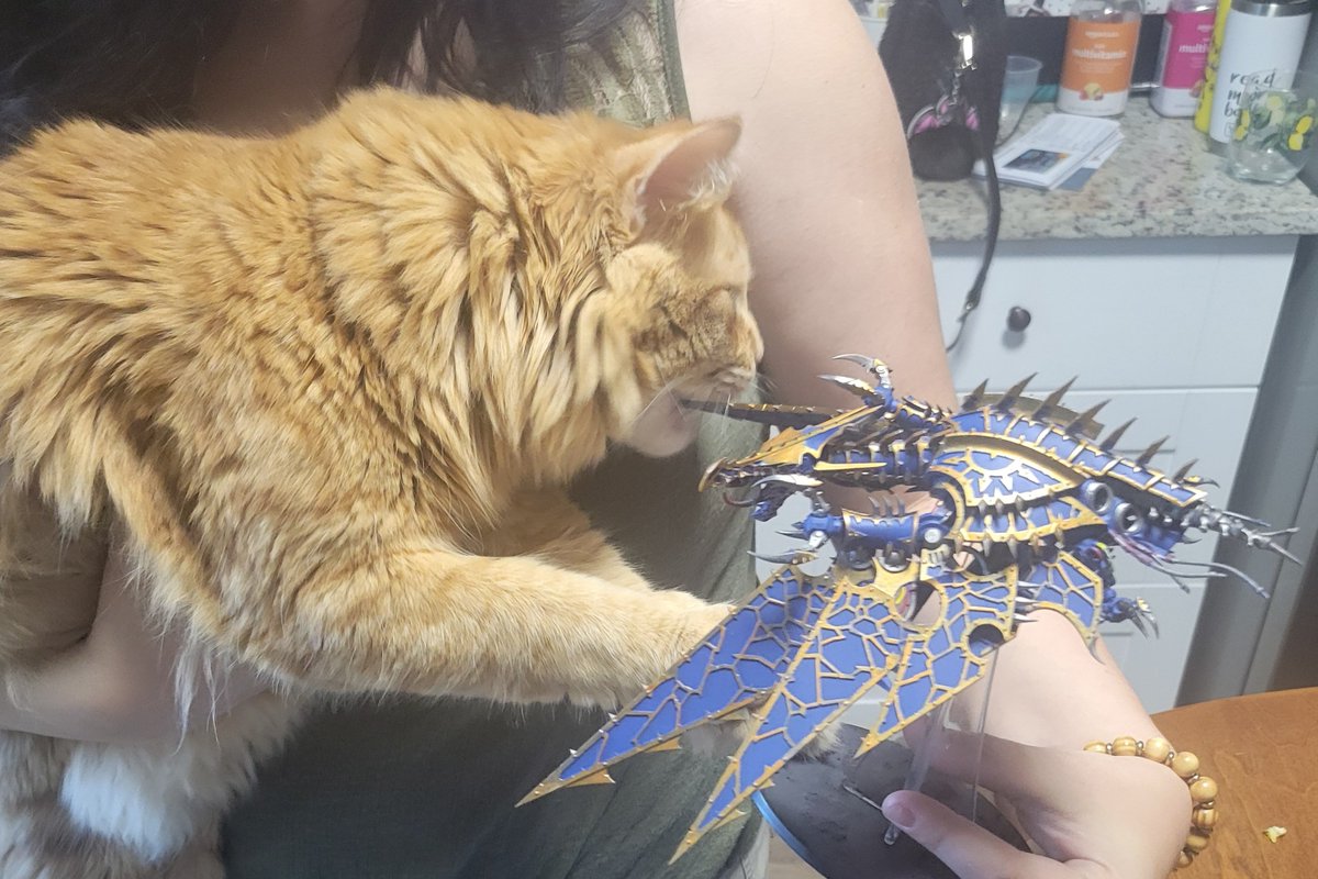 Kya, the God Empress of Mankind tweet media