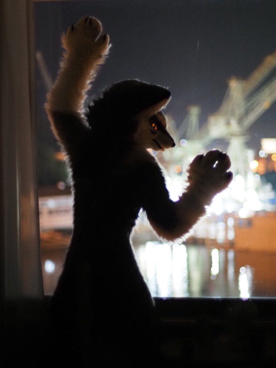 暗夜

#FursuitFriday