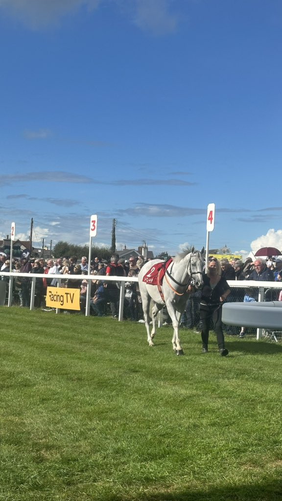 Laytown Races 2026 tweet media