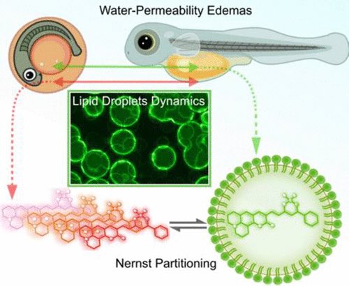 BioCheLa - UNAM tweet media