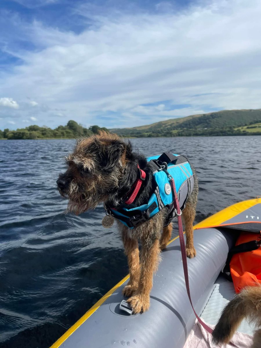 #Throwbackthursday to our first time kayaking me and Stanley loved it #btposse