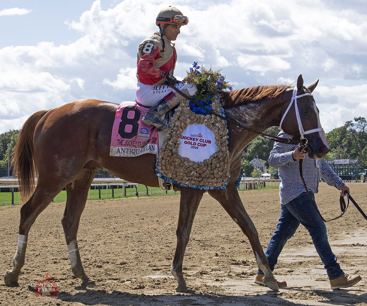 Centennial_Farm's tweet image. #SpoilerAlert - the Jockey Club Gold Cup.