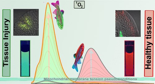 BioCheLa - UNAM tweet media