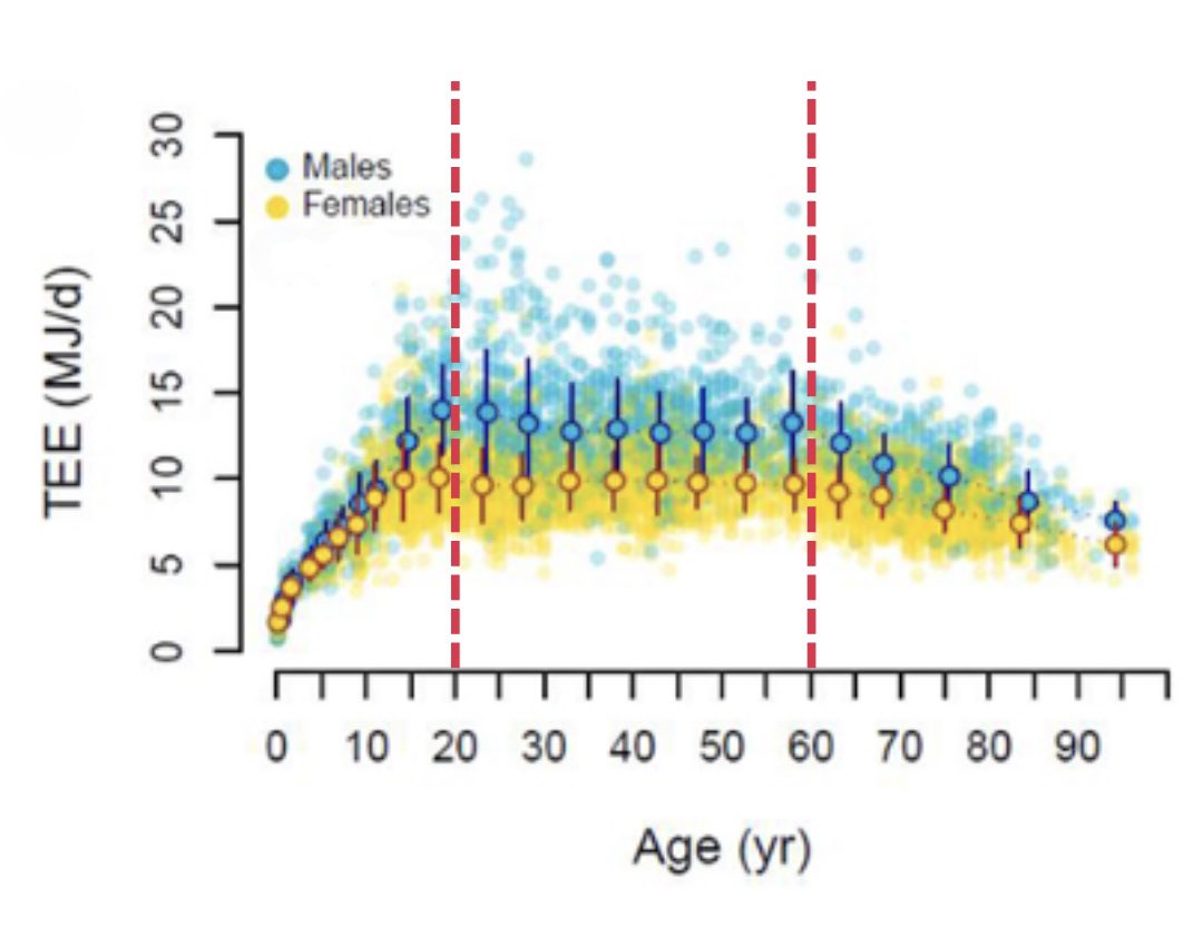 trainbloom tweet media
