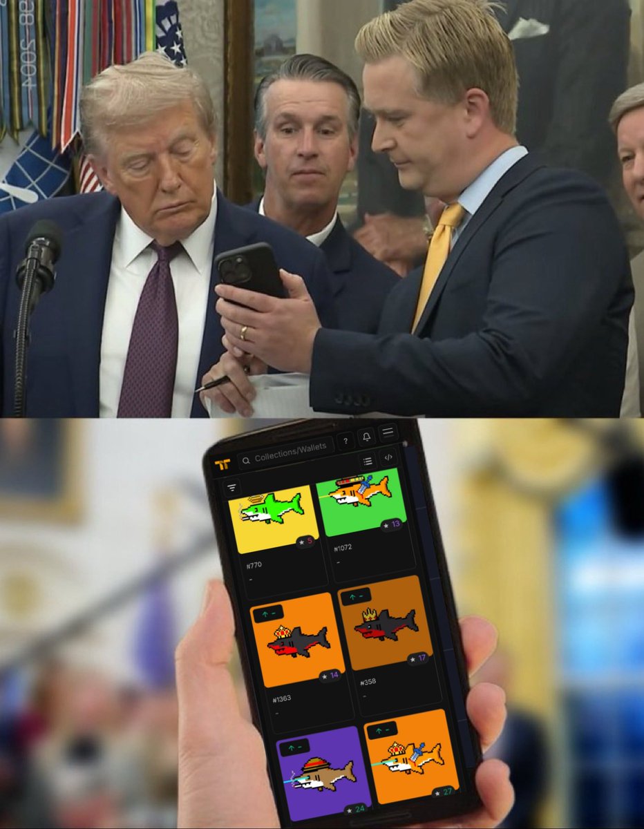 SharkzOG tweet media