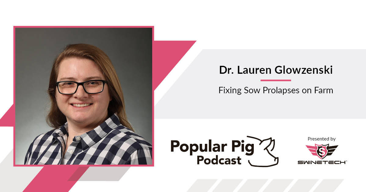 Prolapse has challenged pork producers for over a decade. Dr. Lauren Glowzenski shares practical, on-farm solutions that save sows, reduce mortality, and improve herd health. #PigCare #SwineTech

🎙️ Listen now: hubs.ly/Q03GVJB20