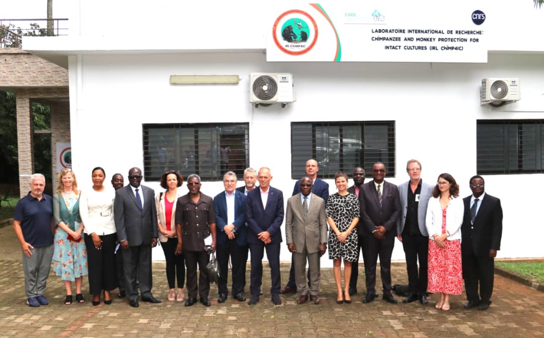 Taï Chimpanzee Project tweet media