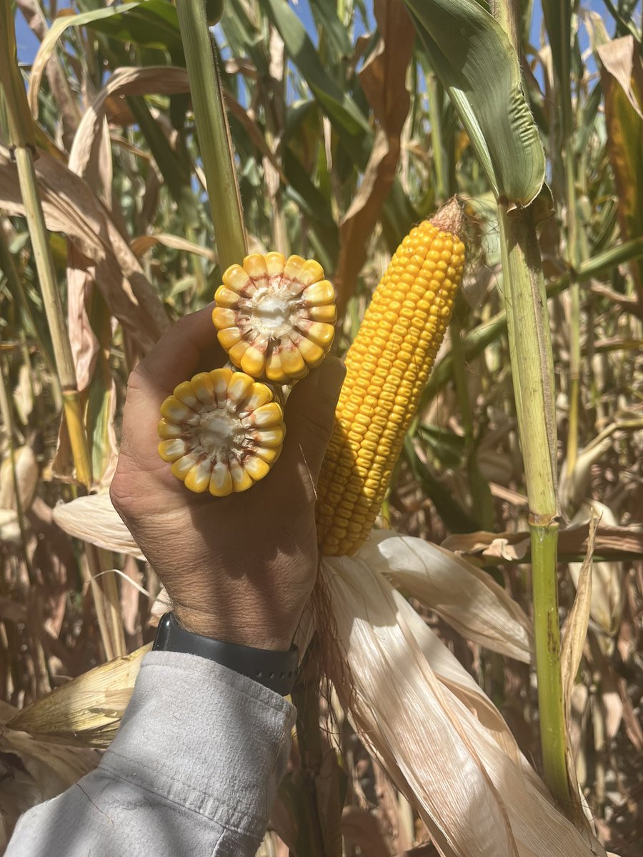 Steve Schany tweet media