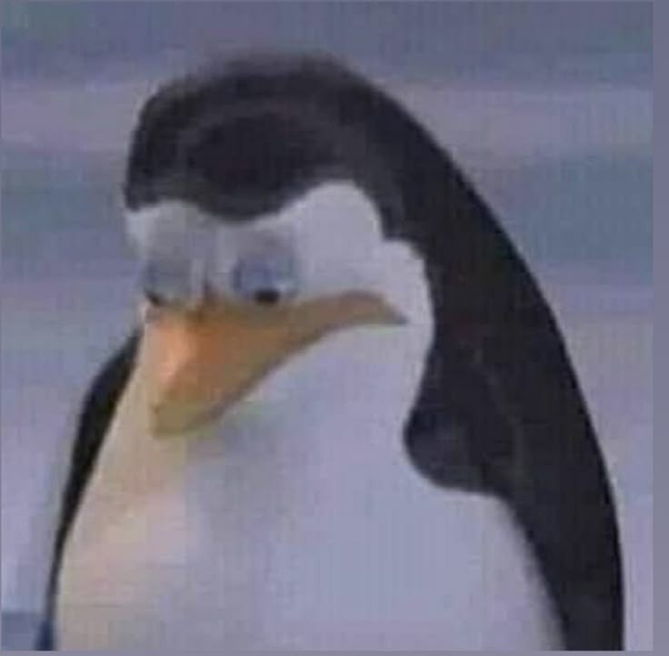 SL♣︎ tweet media