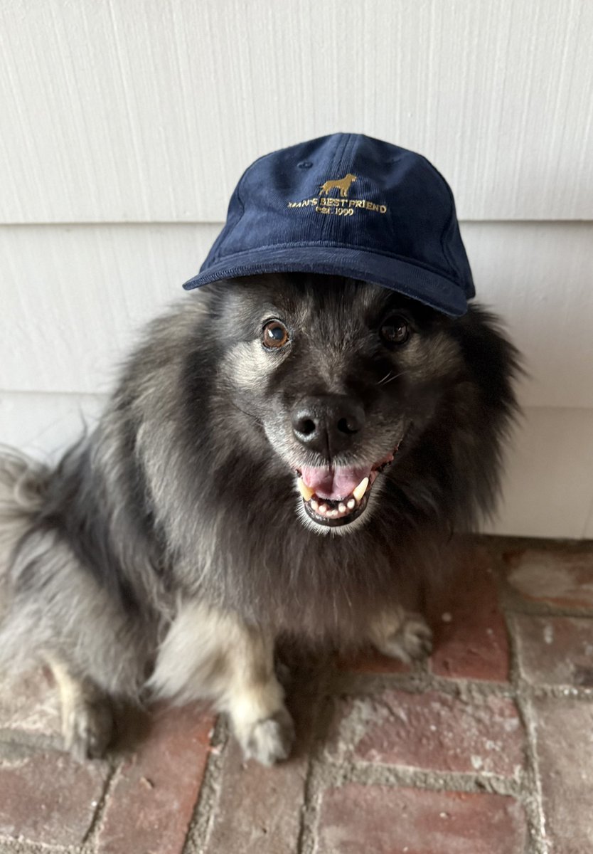 sharpestfork's tweet photo. Presenting Man’s Best Friend’s biggest fan, Hachi! He put on some clothes! 

#mansbestfriend https://t.co/kqwtHJW8sJ