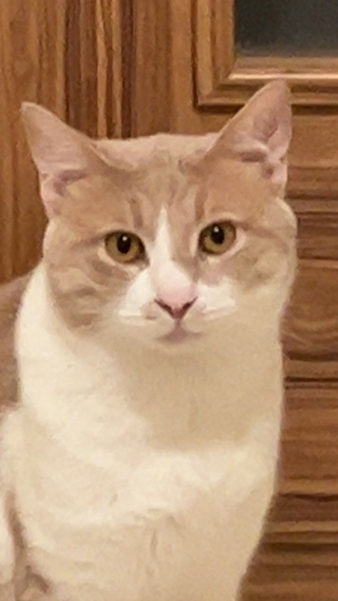 her seye ragmen gulun