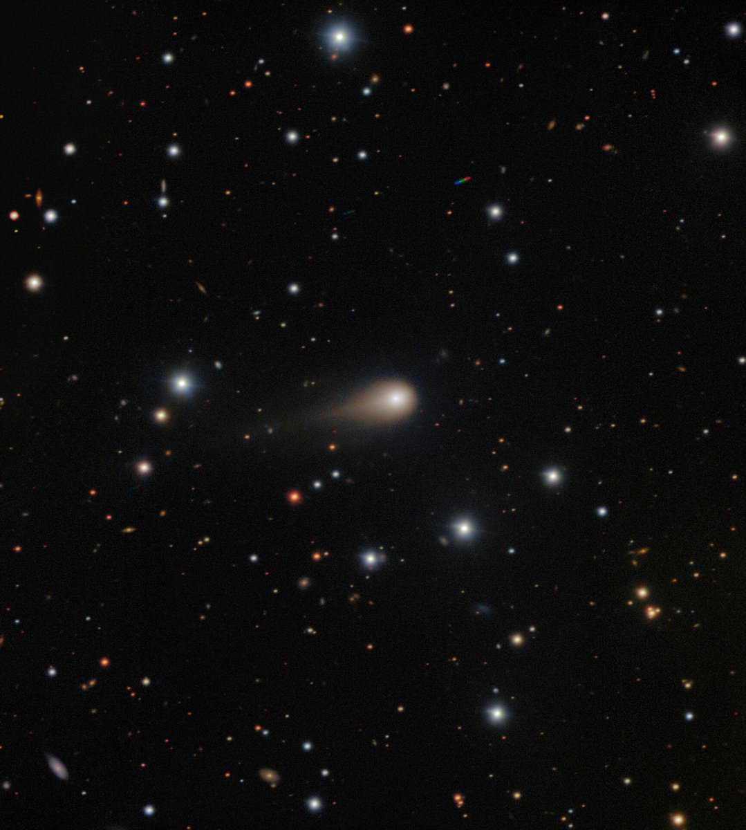 NOIRLab (@noirlabastro) on Twitter photo New images of interstellar Comet 3I/ATLAS! ☄️In these new images taken from @Geminiobs South in Chile, you can see the growing tail of the comet and the glowing coma.  
🔗 noirlab.edu/public/news/no…
Credit: International Gemini Observatory/NOIRLab/NSF/AURA/Shadow the Scientist New images of interstellar Comet 3I/ATLAS! ☄️In these new images taken from @Geminiobs South in Chile, you can see the growing tail of the comet and the glowing coma.  
🔗 noirlab.edu/public/news/no…
Credit: International Gemini Observatory/NOIRLab/NSF/AURA/Shadow the Scientist