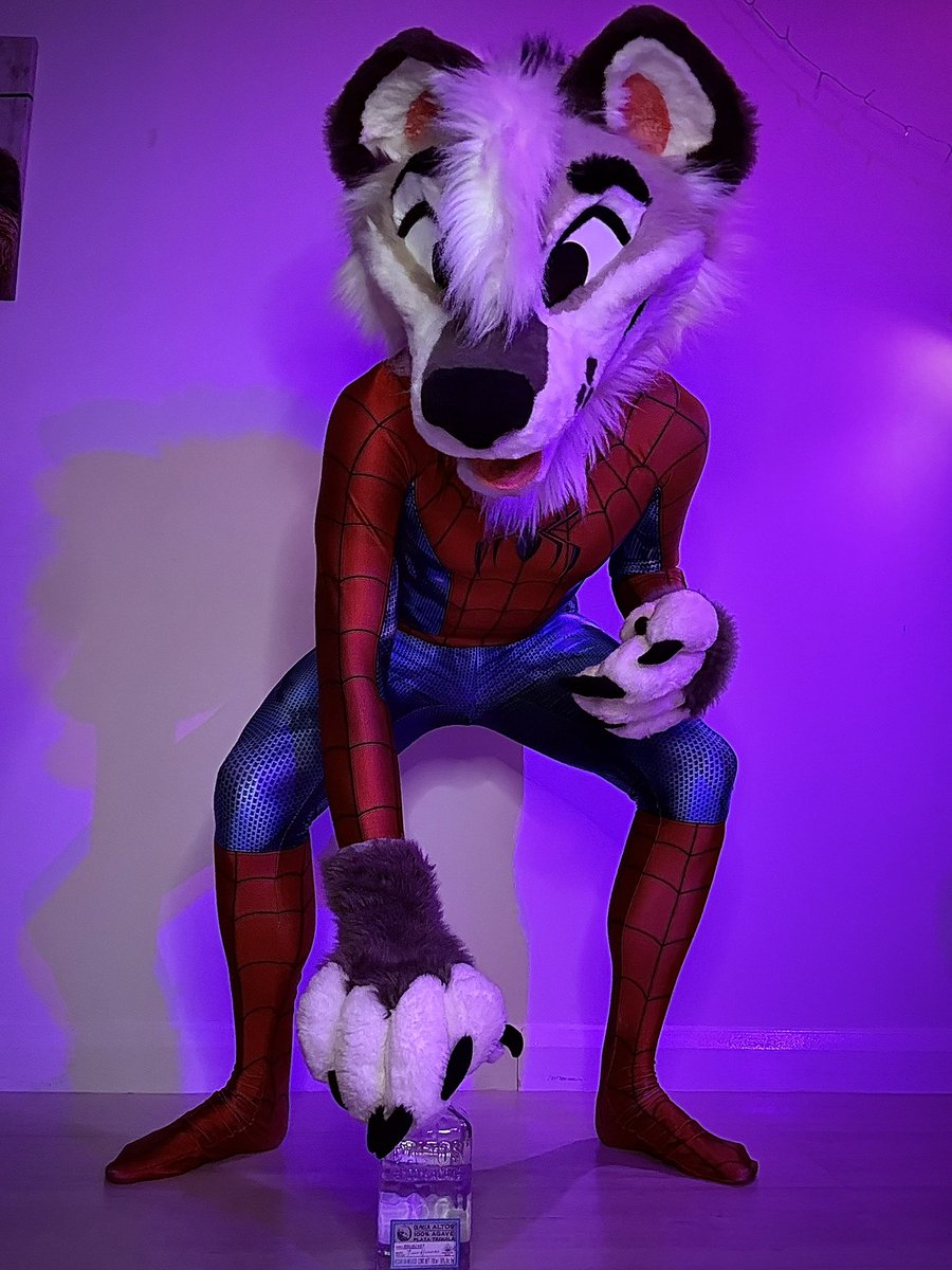 Machi 🐺 / Smudge 🐶 tweet media