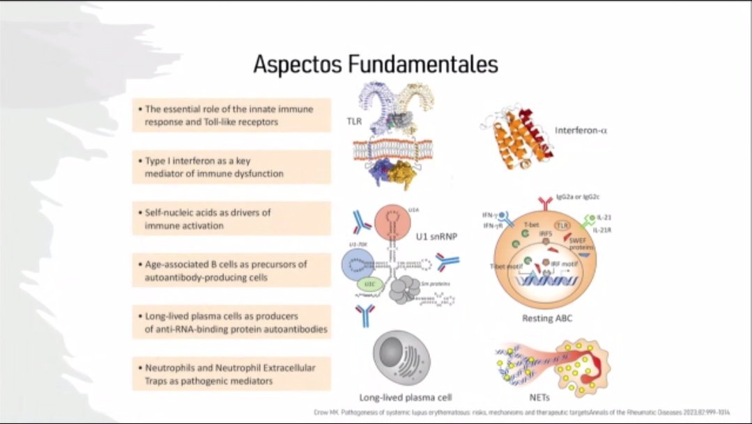 Junior Master Class IPNA- ALANEPE. Viña del Mar 🇨🇱 2025
LES - Dr Lucas Faundes
<a href="/IPNA_PedNeph/">IPNA Ped Nephrology</a> <a href="/Alanepe1/">Alanepe</a>