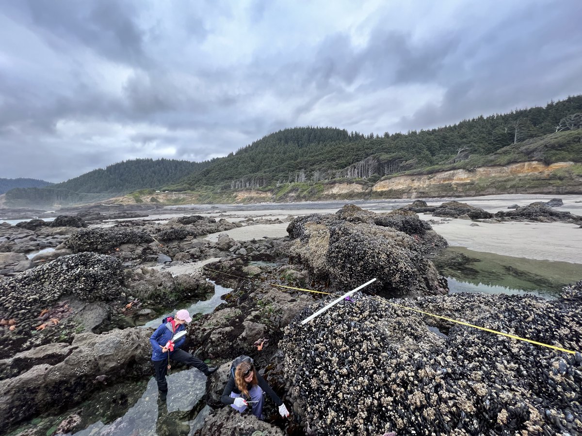 SPONSORED CONTENT Dipping into tidepools, taking the opera stage, designing wedding cakes and many other unique learning opportunities await at COCC. Read more at: redmondspokesman.com/sponsored-cont…