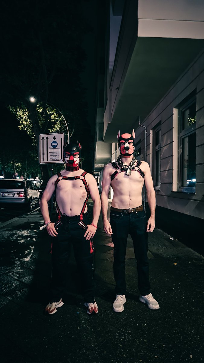 JaGeR the red panda of destiny tweet media