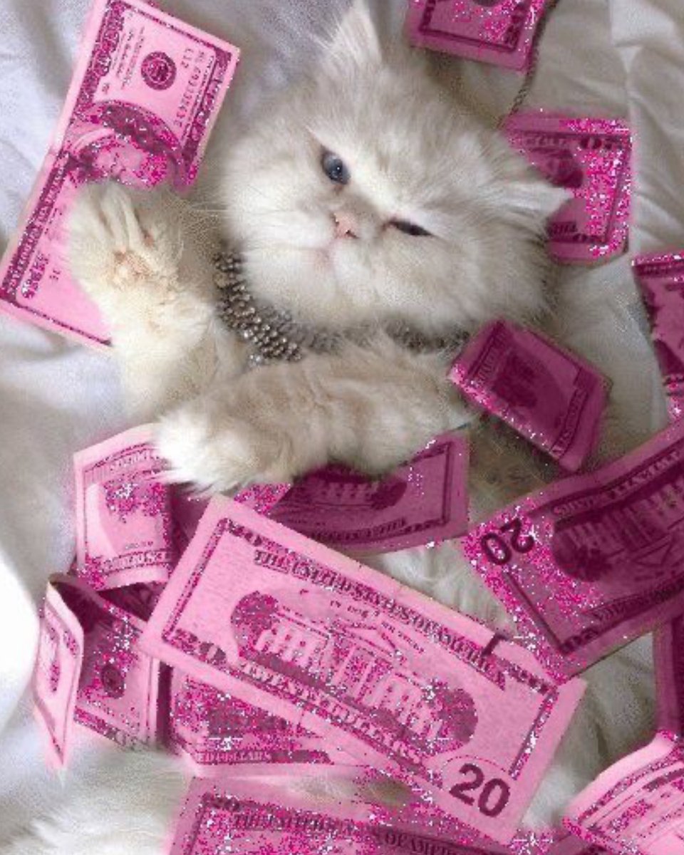 Just rollin in it #HappyCatMonth