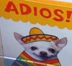 Otherwise tweet media