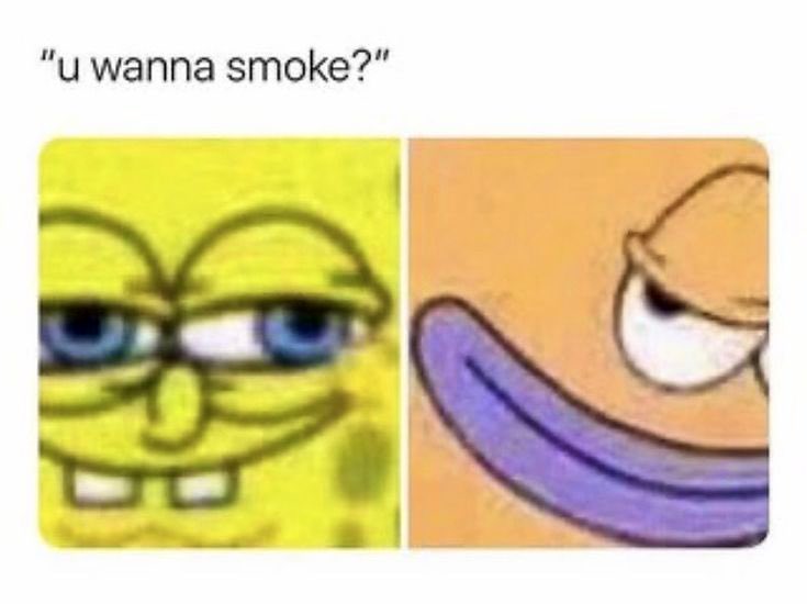 💨🍃 tweet media