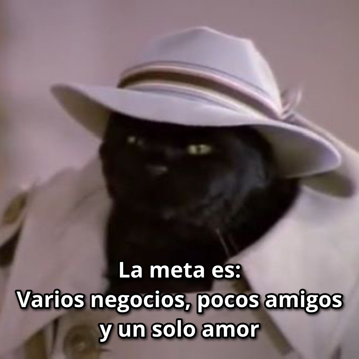 Guarromantico_'s tweet image. Metas.