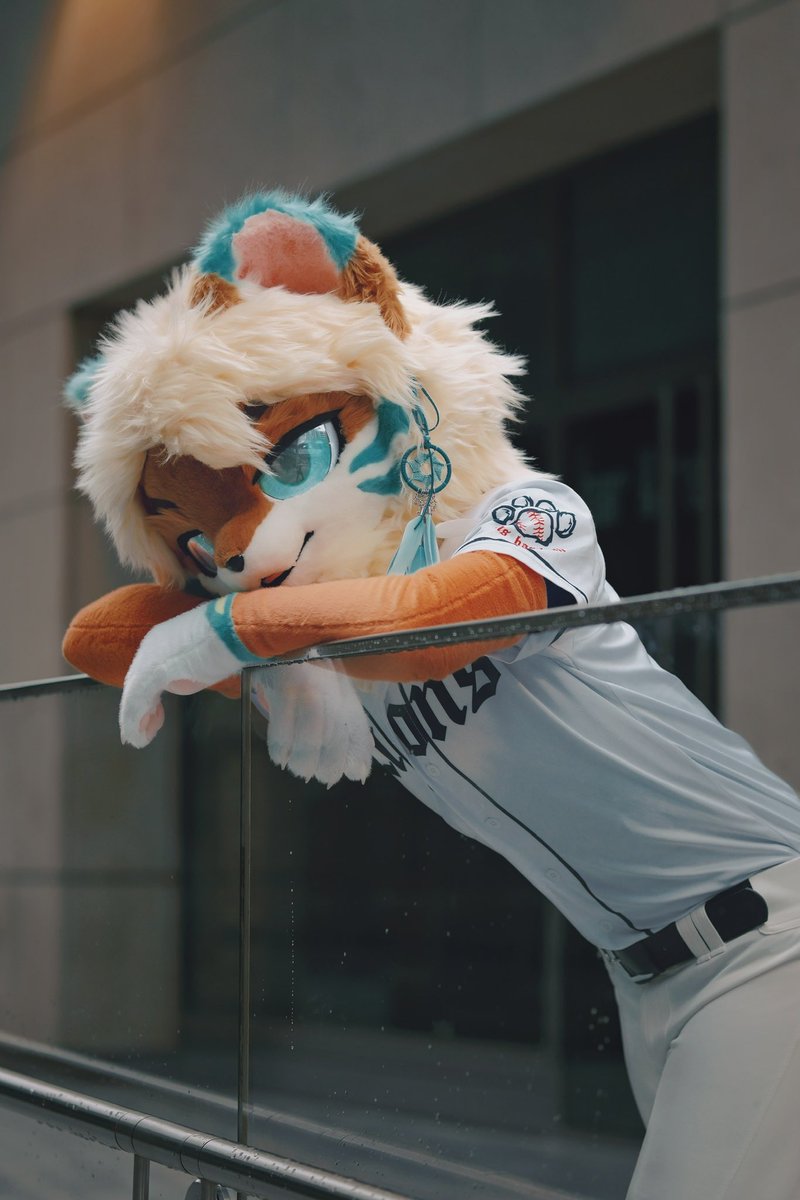 Getting recovered from flu really exhausts a Lion. (I’m genuinely hoping you won’t suffer from this)

📸: <a href="/HUFUFUHUHU/">HUHU~</a> 

#FursuitFriday