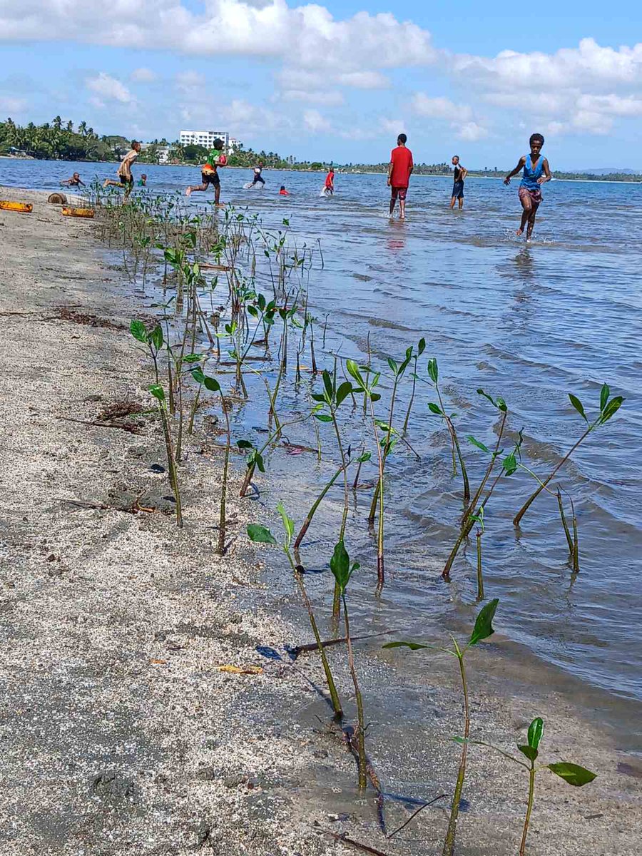 Ministry of Forestry tweet media