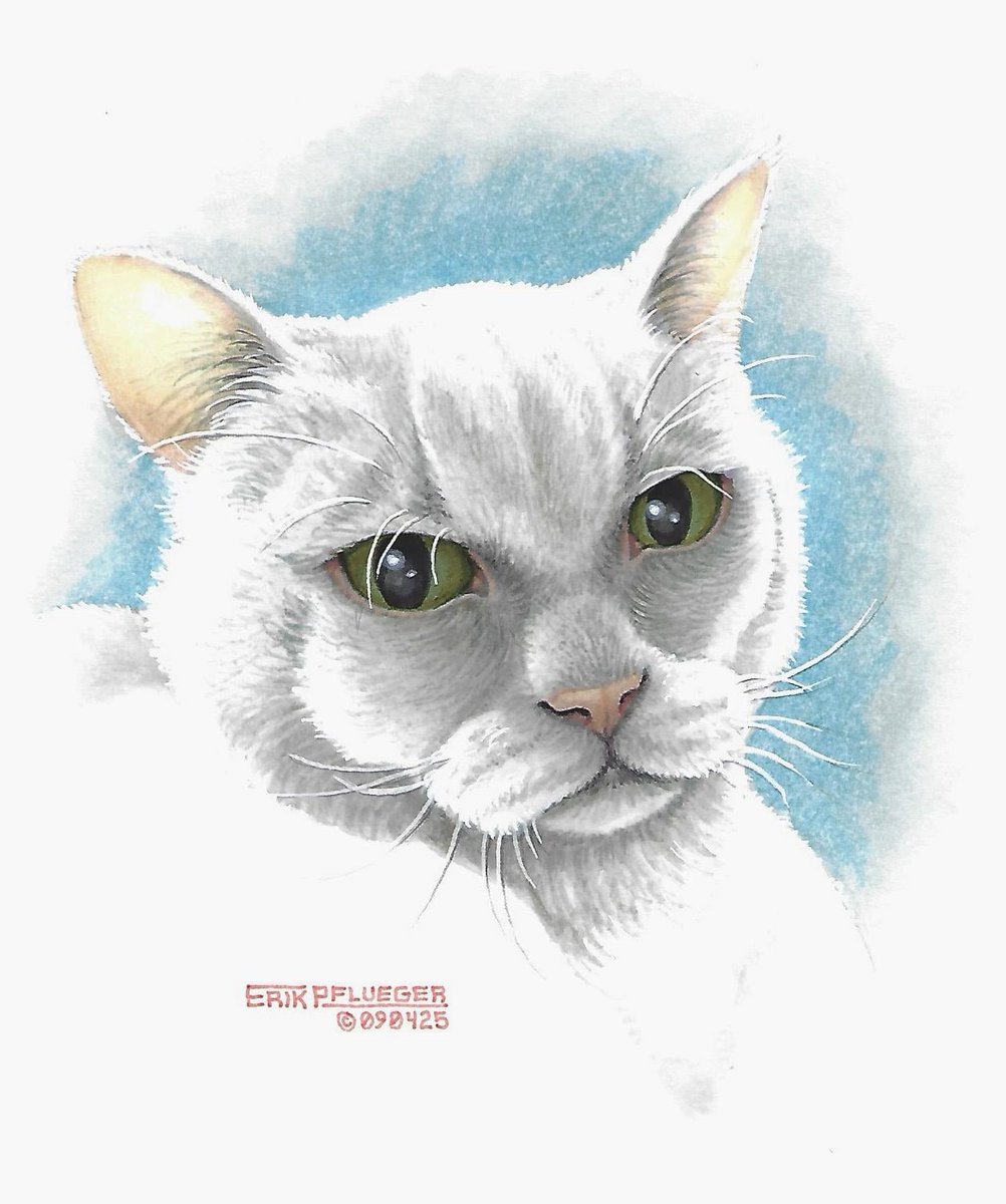 Goodbye, Ash…

(2011-2025)