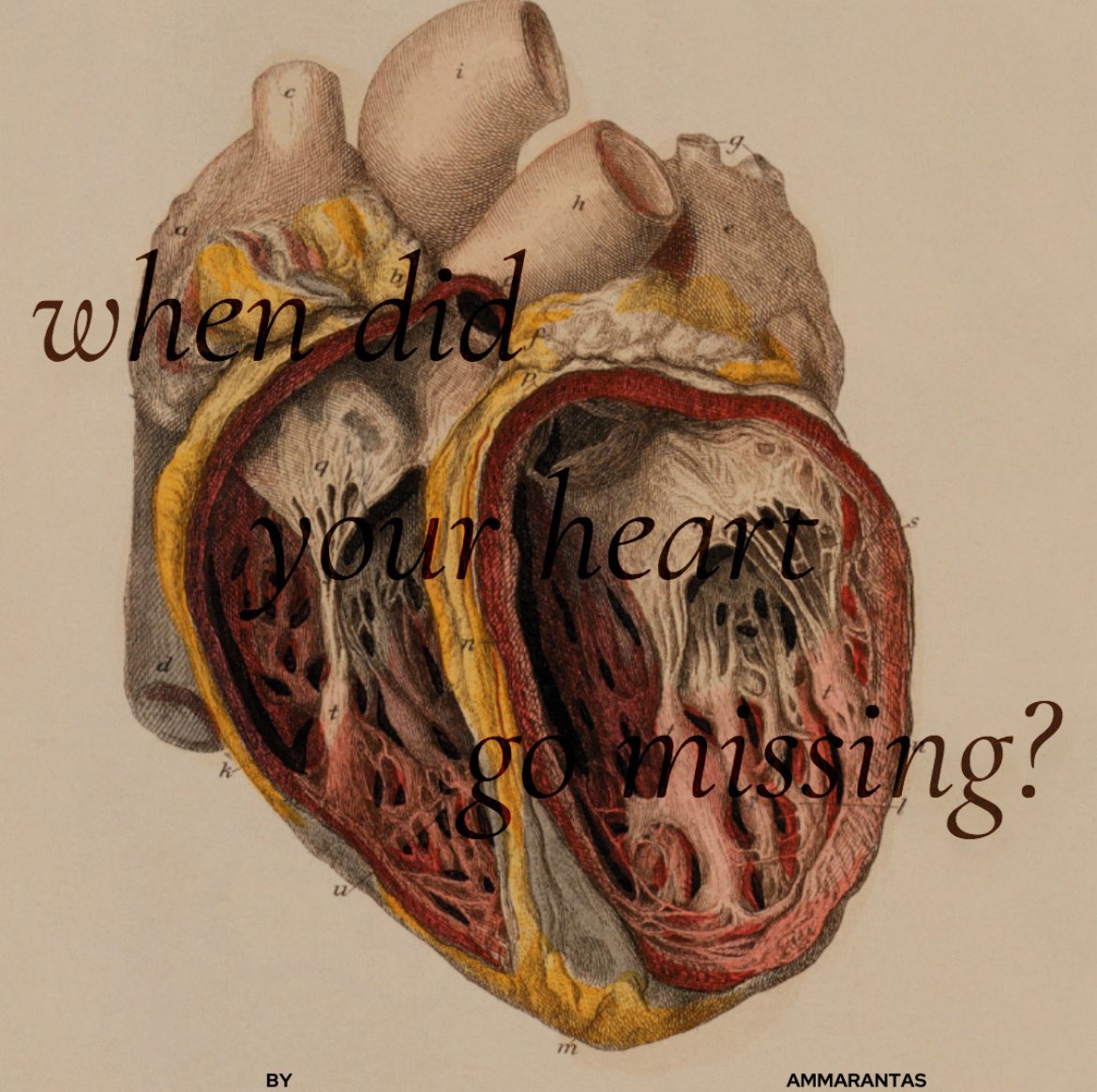 when did your heart go missing {1/1, 3k, G} #Darklina2025 

At 4:00 pm RST, head nurse Alina Starkova enters the ER with a bloody nose. 
Chaos ensues at the Fold.

archiveofourown.org/works/70344166