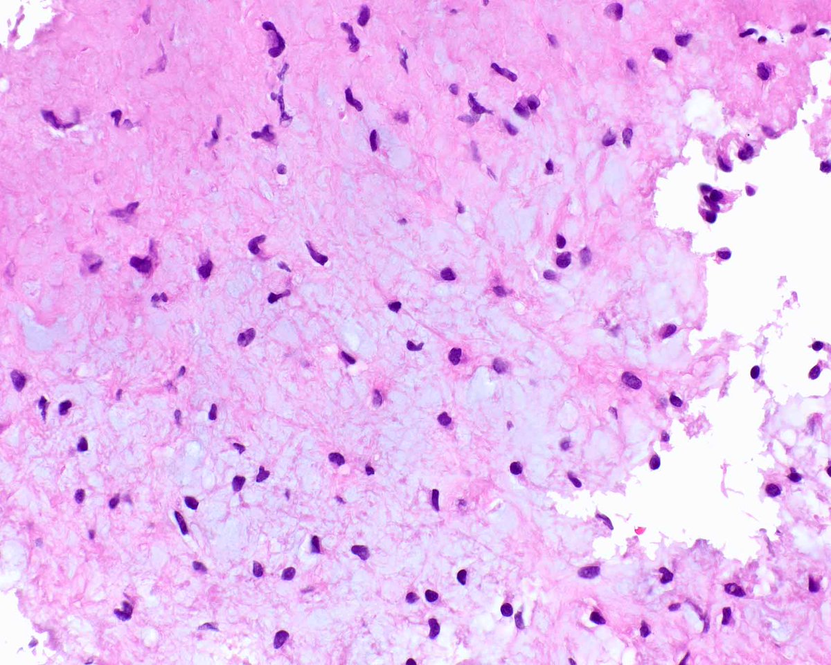 Elizabeth Montgomery, MD tweet media