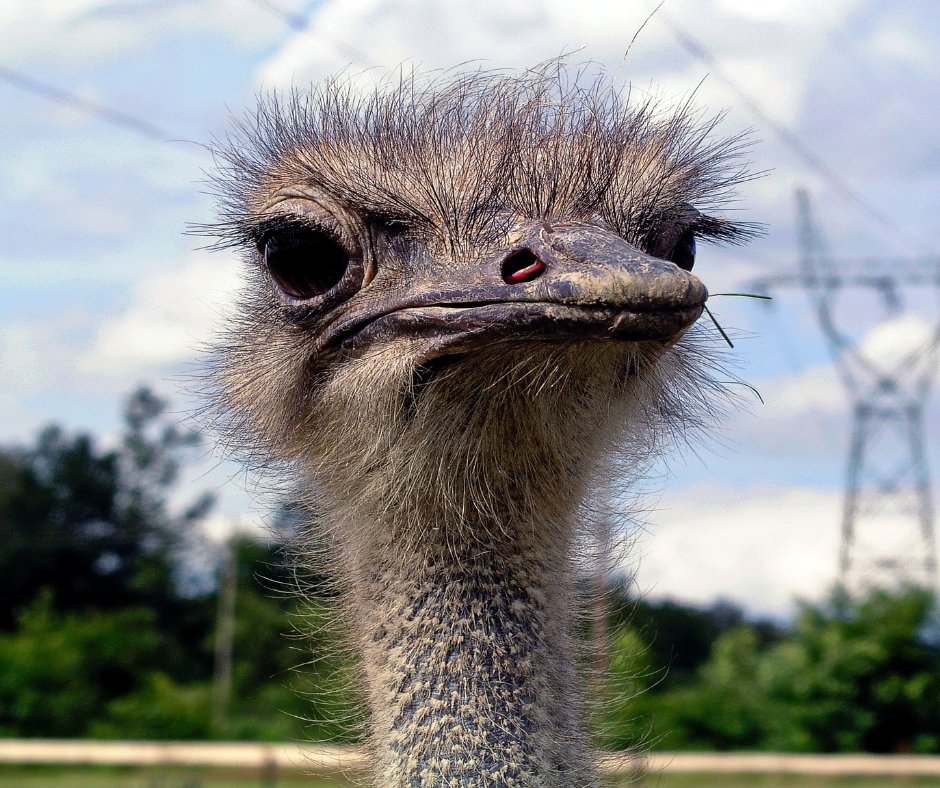 👀 We see you... dumping coffee grounds in the sink again??  Coffee clumps together and builds up like wet sandpaper inside your pipes. Toss it in the trash or compost bin instead!  Your pipes (and your morning coffee ritual) will stay drama-free ☕💅