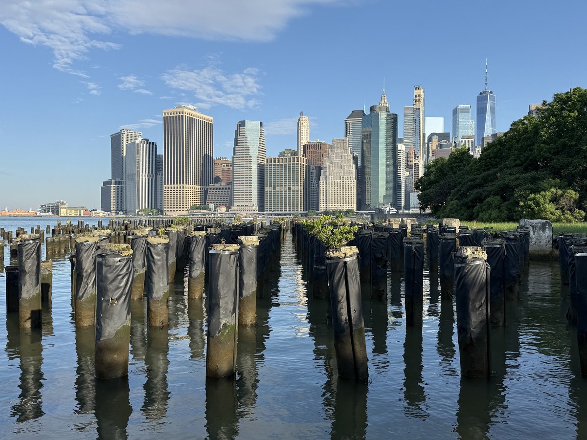 Frederick Lane 🇺🇸🇮🇪🏴🇺🇦 tweet media