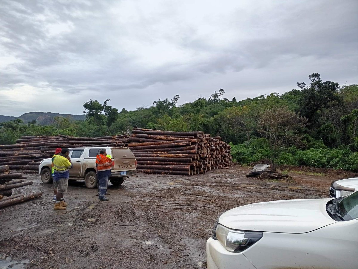 Ministry of Forestry tweet media