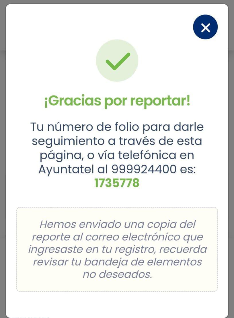 Ligia Sauri Garcia tweet media